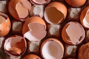 How to Use Eggshells in Coffee to Tame Your Brew