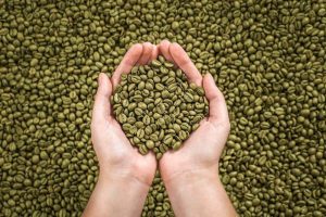The 5 Best Freshly Green Coffee Beans, in the World