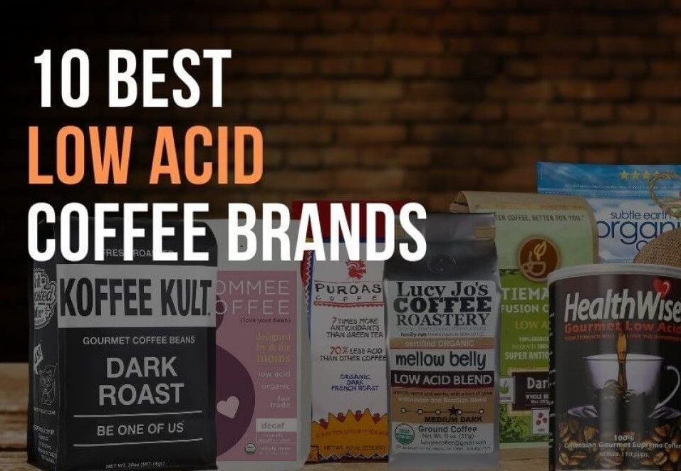 Best Low Acid Coffee Brands Top Easy-on-the-Stomach Blends